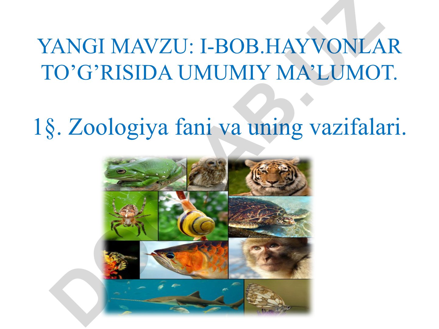 Zoologiya fani va hayvonlarning xilma-xilligi