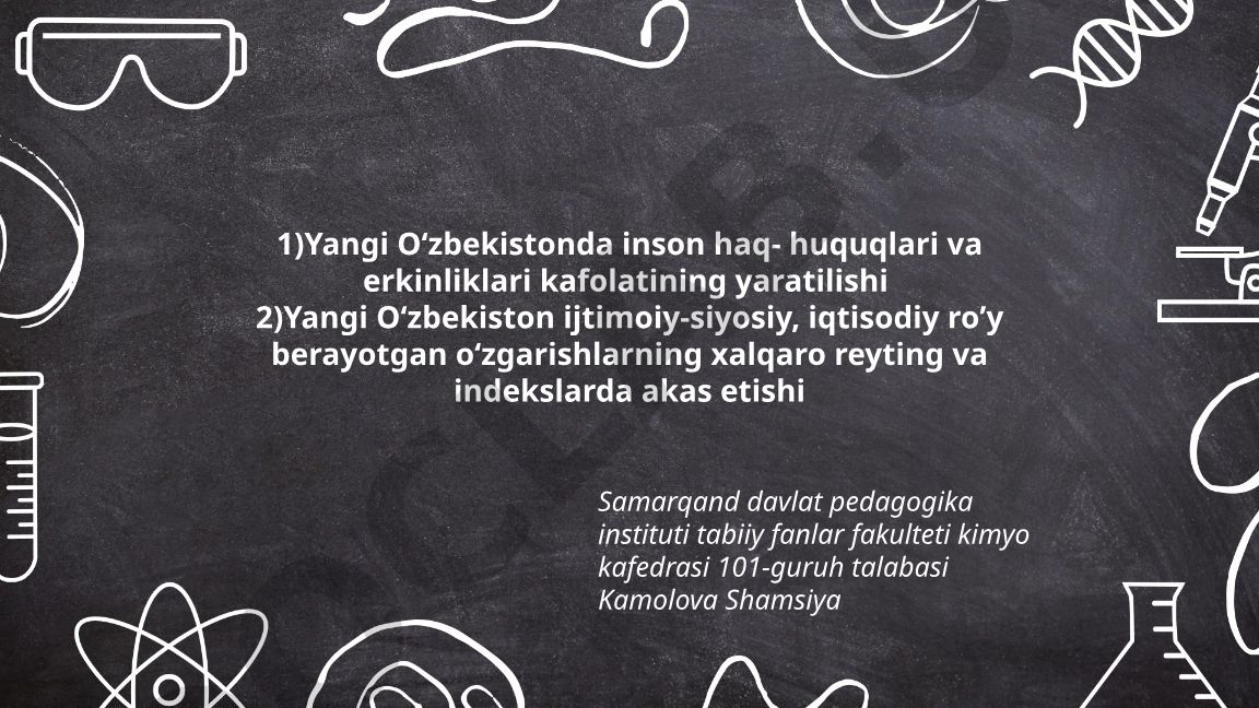 Yangi Oʻzbekistonda inson huquqlari va erkinliklari kafolatlari