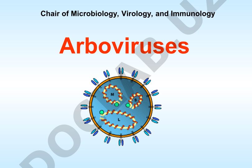 Arboviruses: Microbiology, Virology, and Immunology