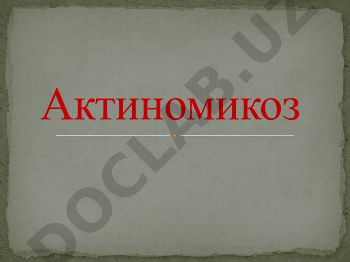 Актиномикоз животных и человека