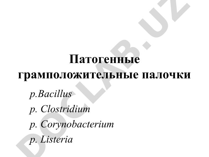 Патогенные грамположительные палочки: Bacillus, Clostridium, Corynobacterium, Listeria