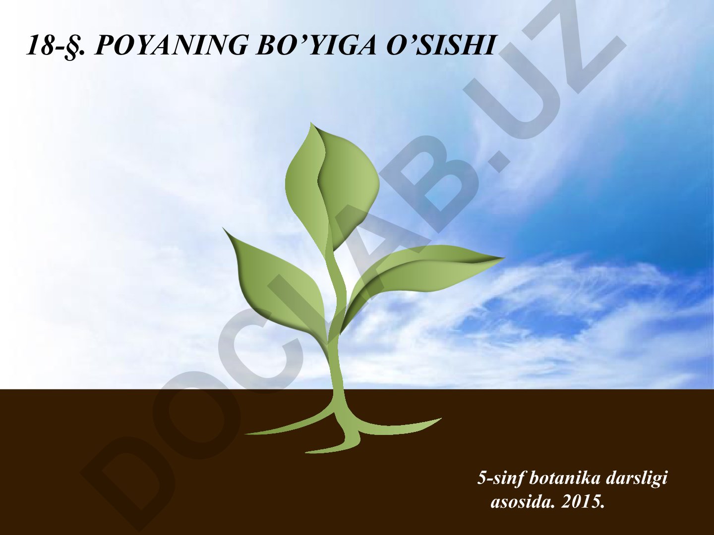 Poyaning bo'yiga o'sishi va o'sish konusi