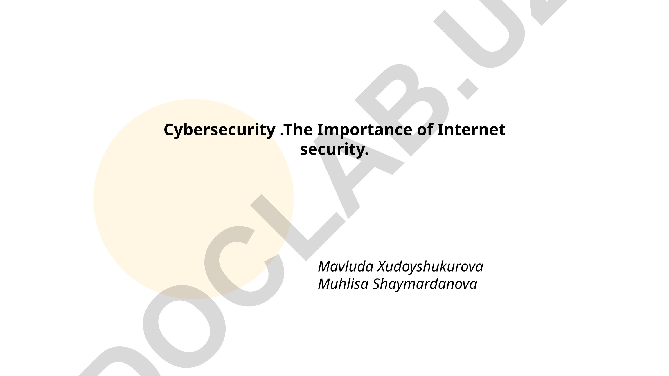 The Importance of Internet Security and Cybersecurity