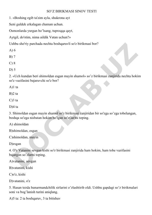 So'z birikmasi sinov testi