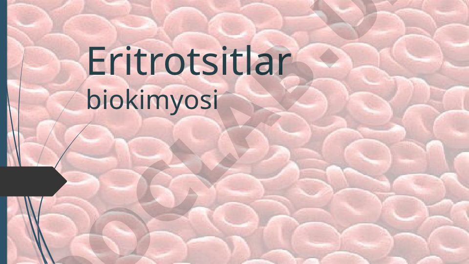 Eritrotsitlar biokimyosi