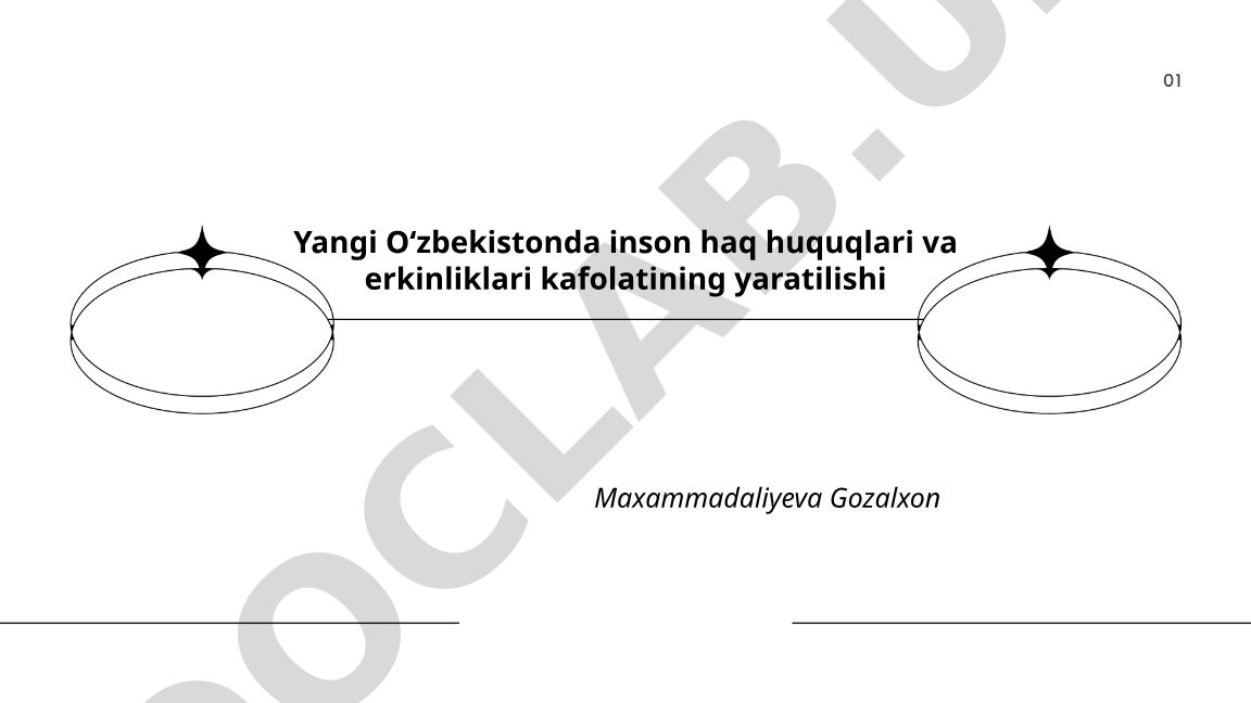 Yangi Oʻzbekistonda inson haq huquqlari va erkinliklari kafolatining yaratilishi