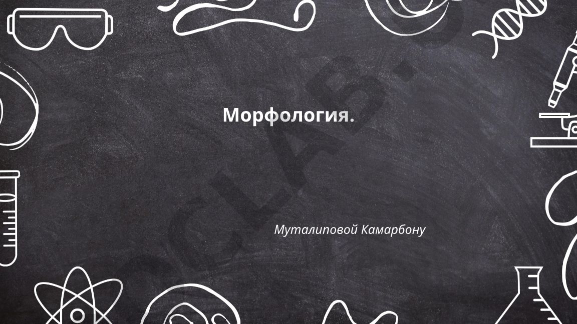 Морфология: классификация частей речи и имя существительное
