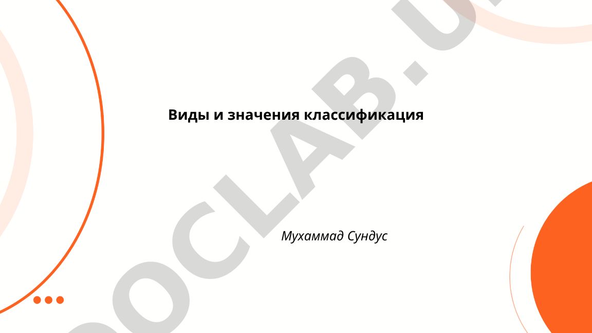 Виды и значения классификация слов в лингвистике