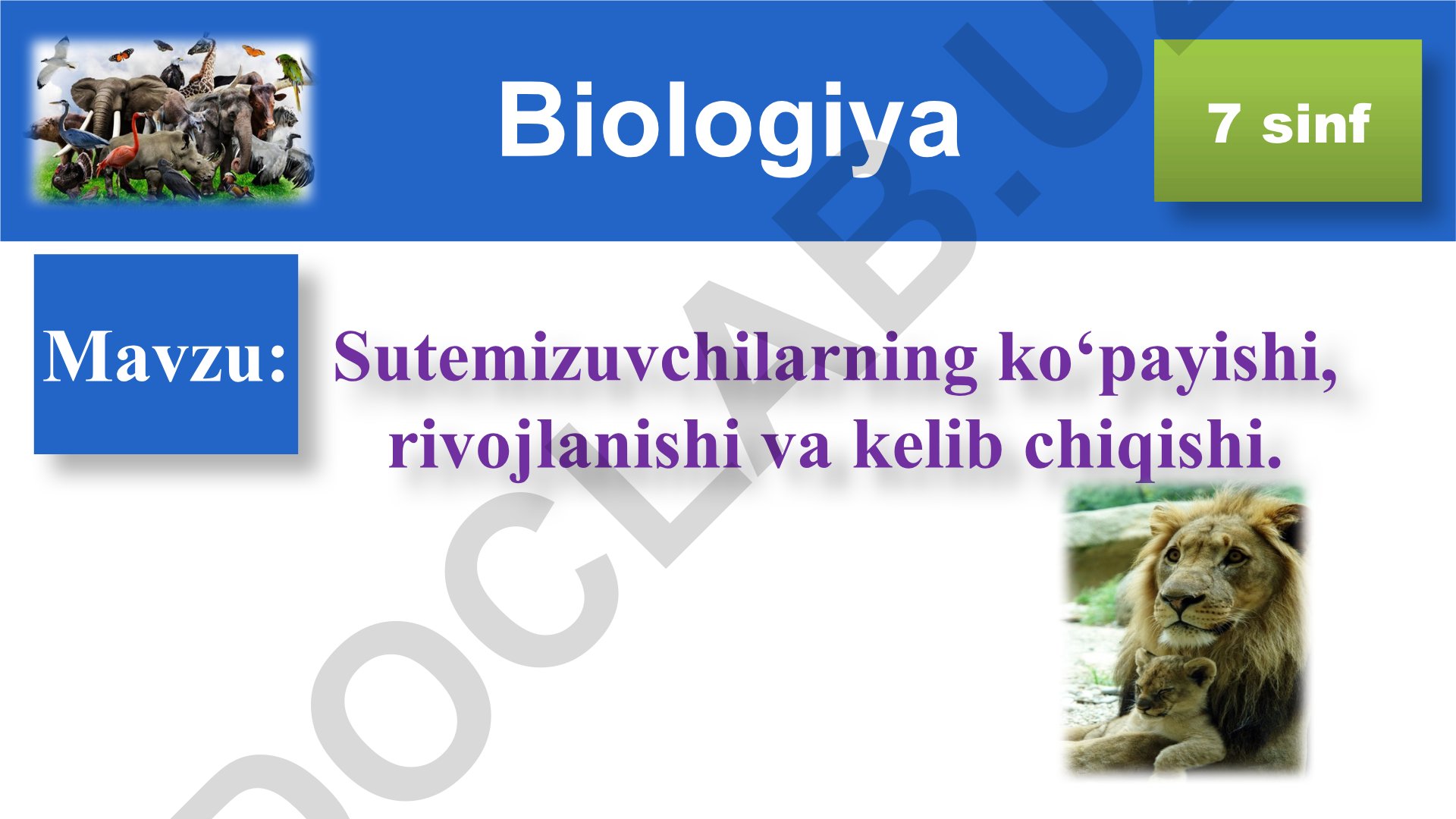 Sutemizuvchilarning ko‘payishi, rivojlanishi va kelib chiqishi