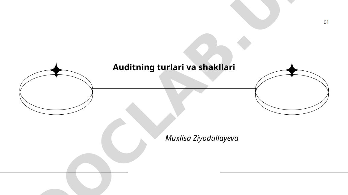 Auditning turlari va shakllari