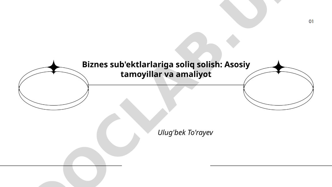 Biznes sub'ektlarlariga soliq solish: Asosiy tamoyillar va amaliyot