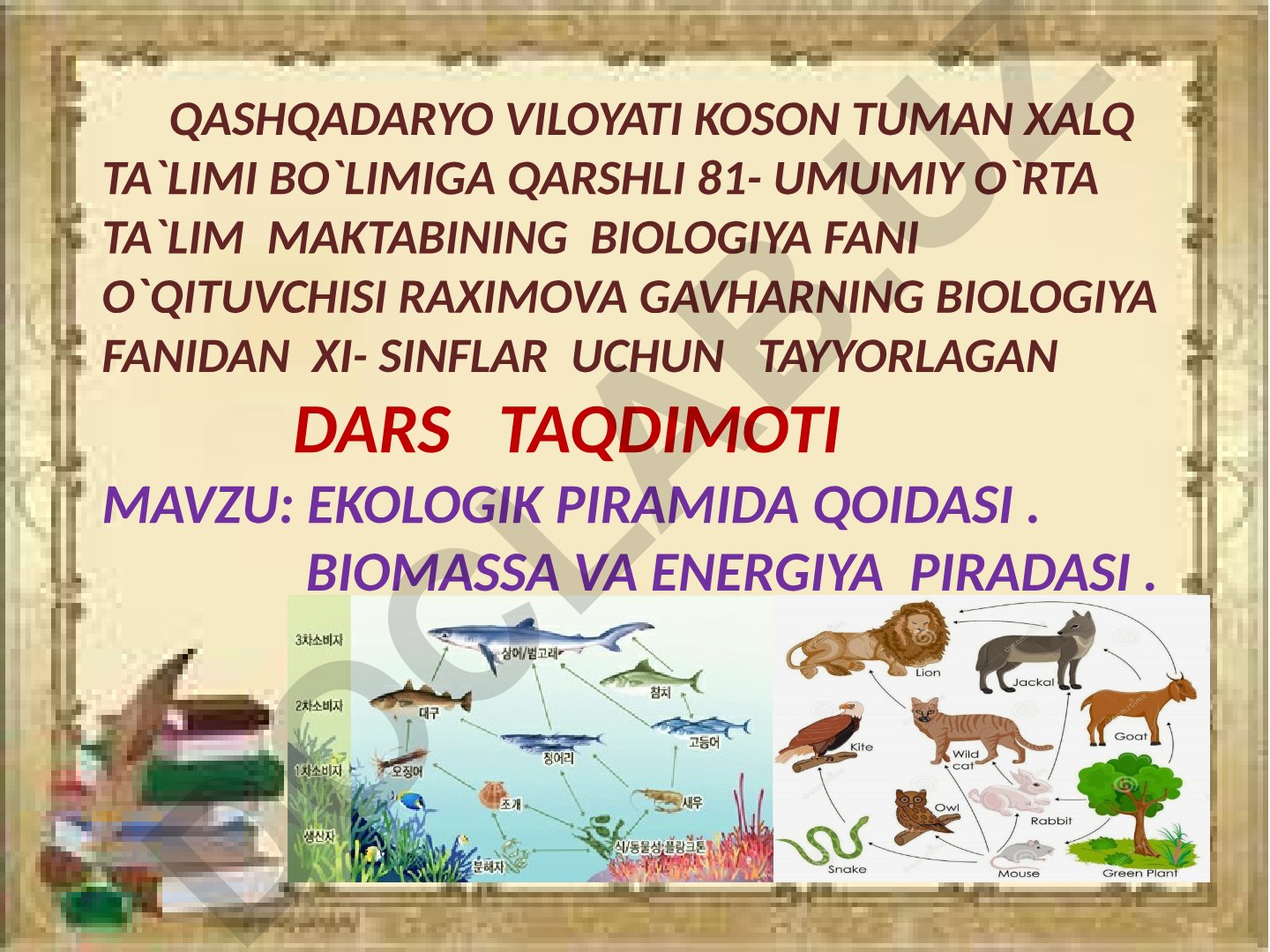 Ekologik piramida qoidasi. Biomassa va energiya piramidalari