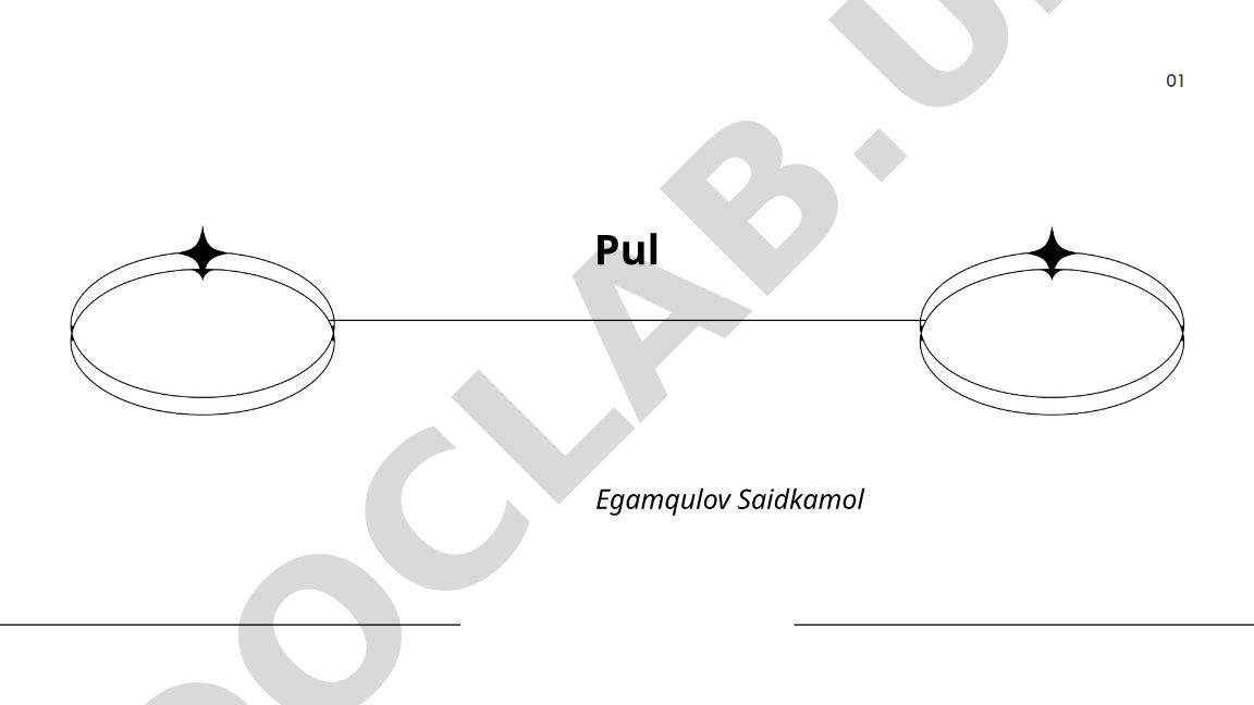 Pulning ta'rifi, funksiyalari va tarixi