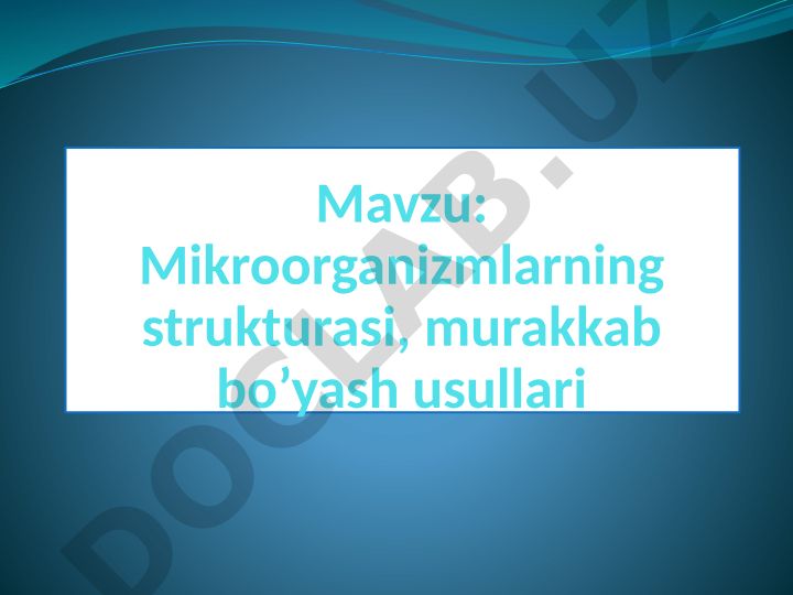 Mikroorganizmlarning strukturasi, murakkab bo'yash usullari