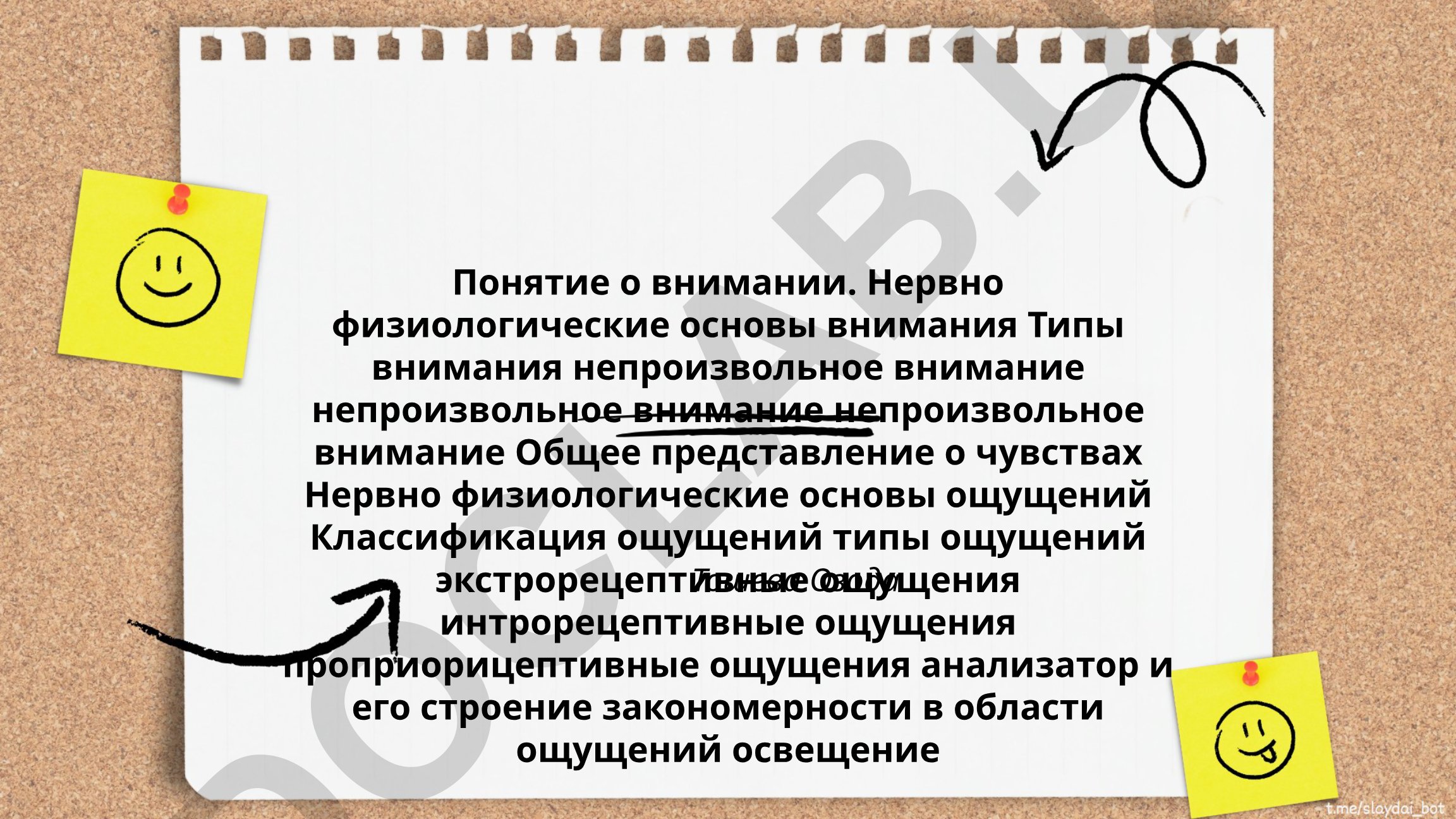 Внимание и ощущения: нервно-физиологические основы и классификация