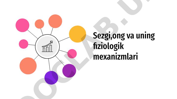 Sezgi, ong va uning fiziologik mexanizmlari