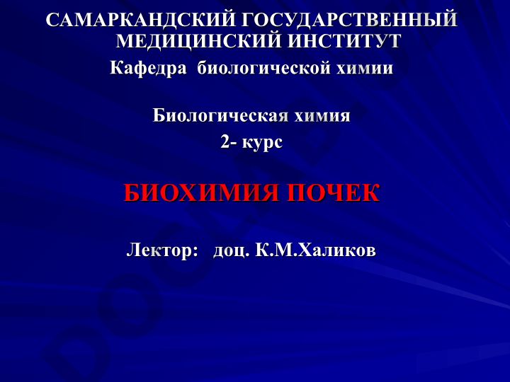 Биохимия почек: функции, механизм образования мочи и её состав