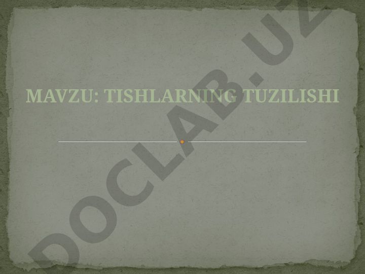 Tishlarning tuzilishi va taraqqiyoti