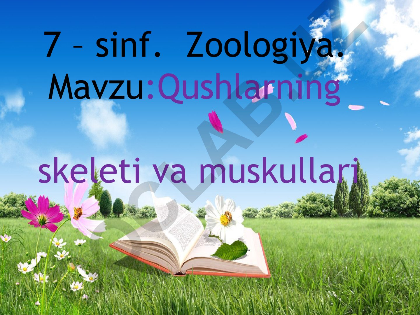 Qushlarning skeleti va muskullari