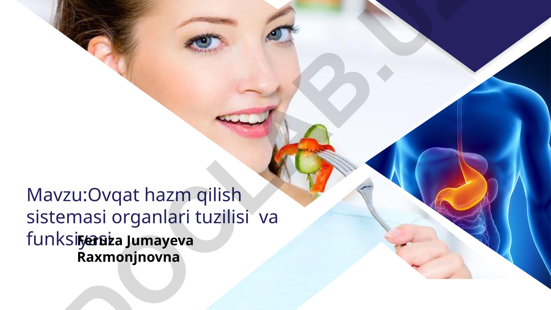 Ovqat hazm qilish sistemasi organlari tuzilisi va funksiyasi