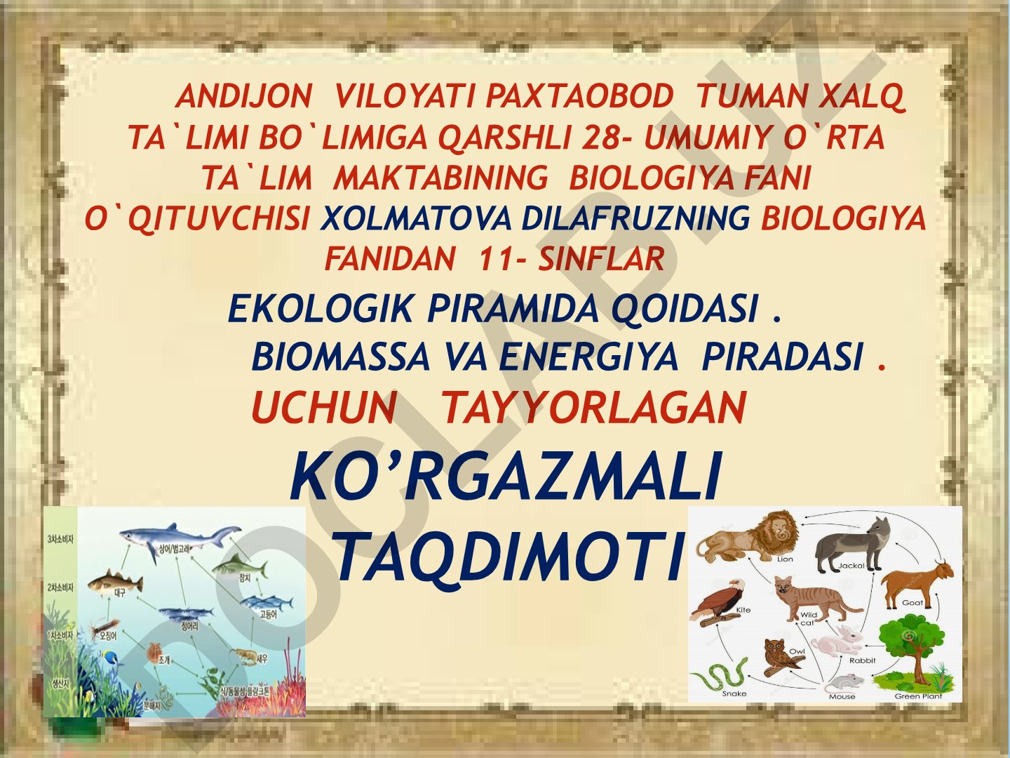 Ekologik piramida qoidasi, biomass va energiya piramidalari