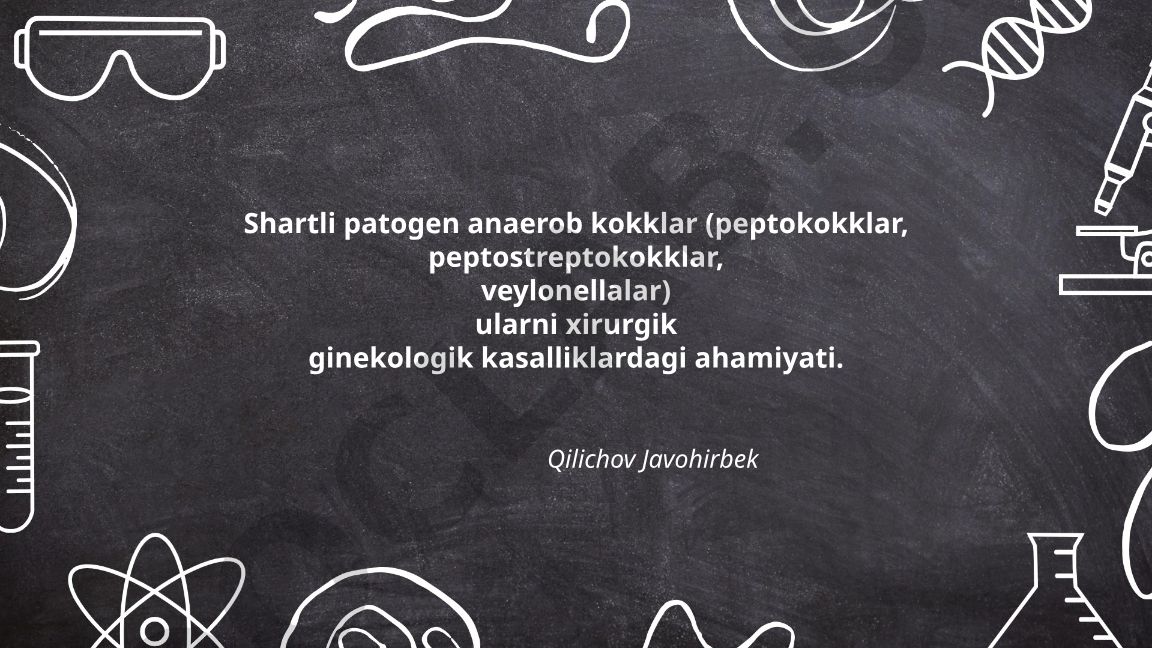 Shartli patogen anaerob kokklar (peptokokklar, peptostreptokokklar, veylonellalar) ularni xirurgik ginekologik kasalliklardagi ahamiyati