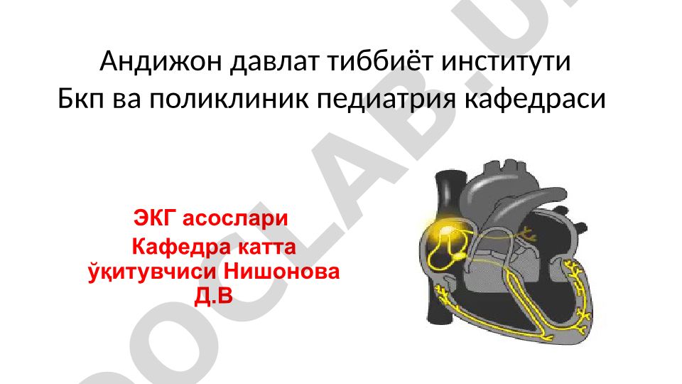 ЭКГ асослари