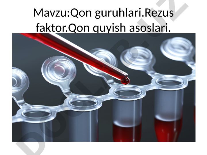 Qon guruhlari, Rezus faktor va qon quyish asoslari
