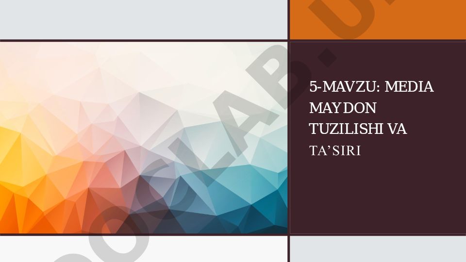 Media maydon tuzilishi va ta'siri