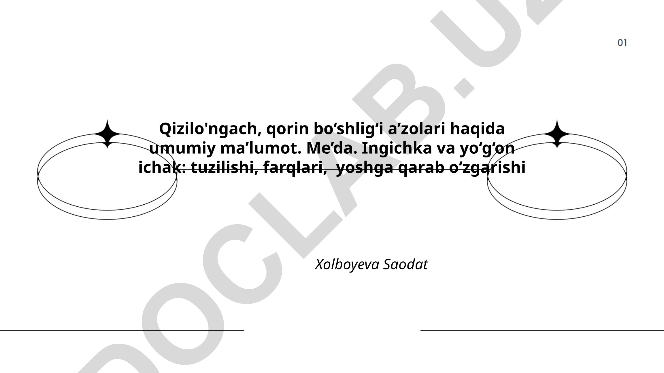 Qizilo'ngach, me'da va ichaklarning anatomiyasi
