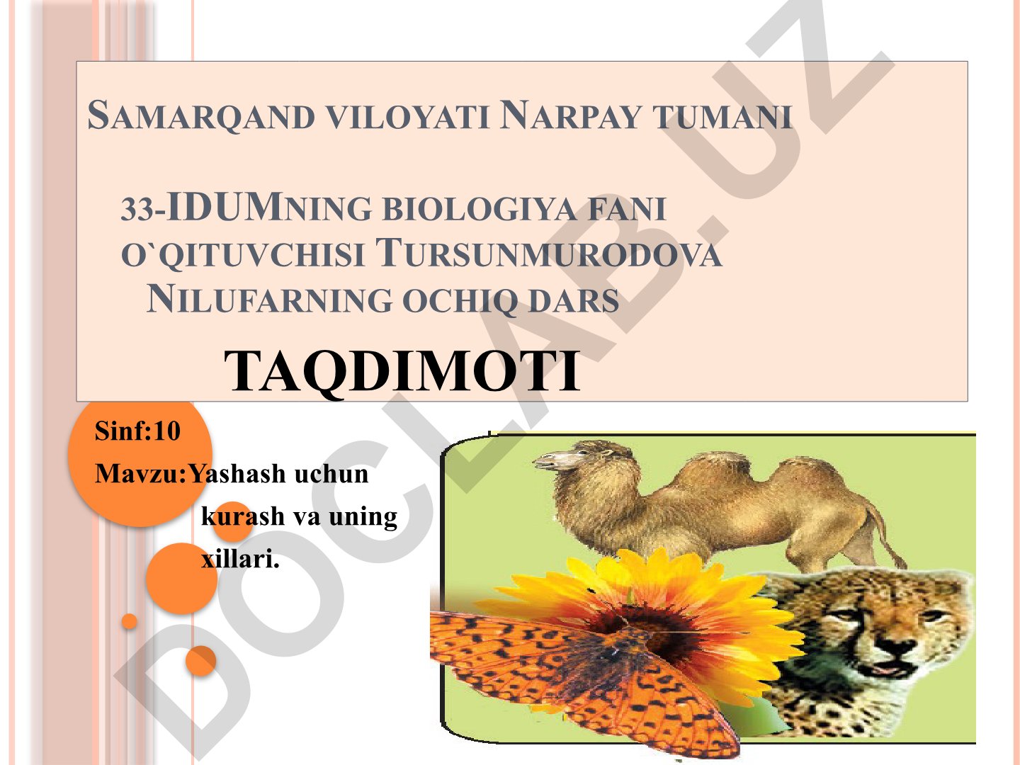 Yashash uchun kurash va uning xillari