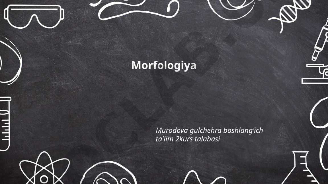 Morfologiya: ta'rifi, vazifalari va morfemalar turlari