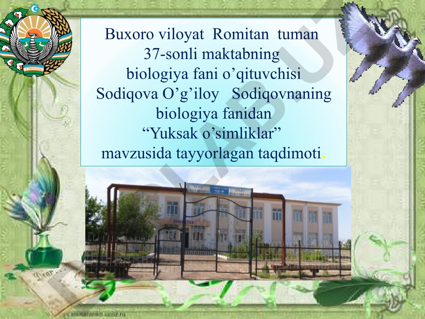 Yuksak o'simliklar