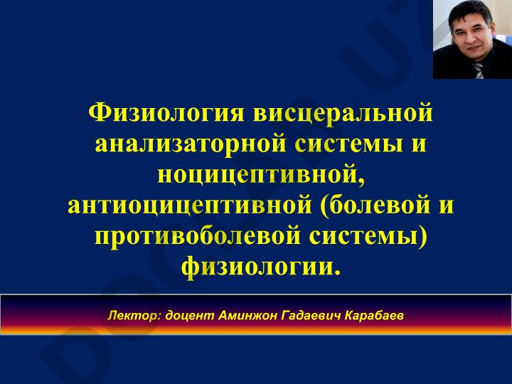 Физиология висцеральной анализаторной системы и ноцицептивной, антиноцицептивной систем