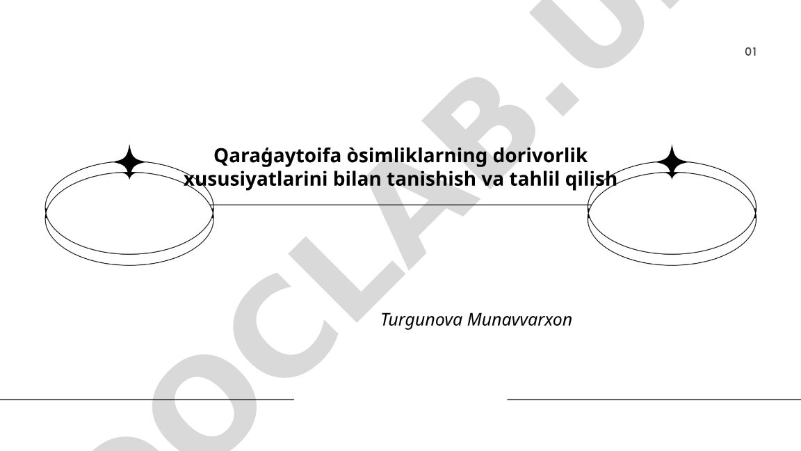 Qarağay toifa o'simliklarining dorivorlik xususiyatlari