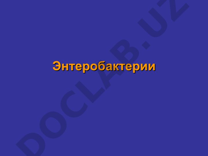 Энтеробактерии: классификация грамотрицательных факультативно-анаэробных палочек
