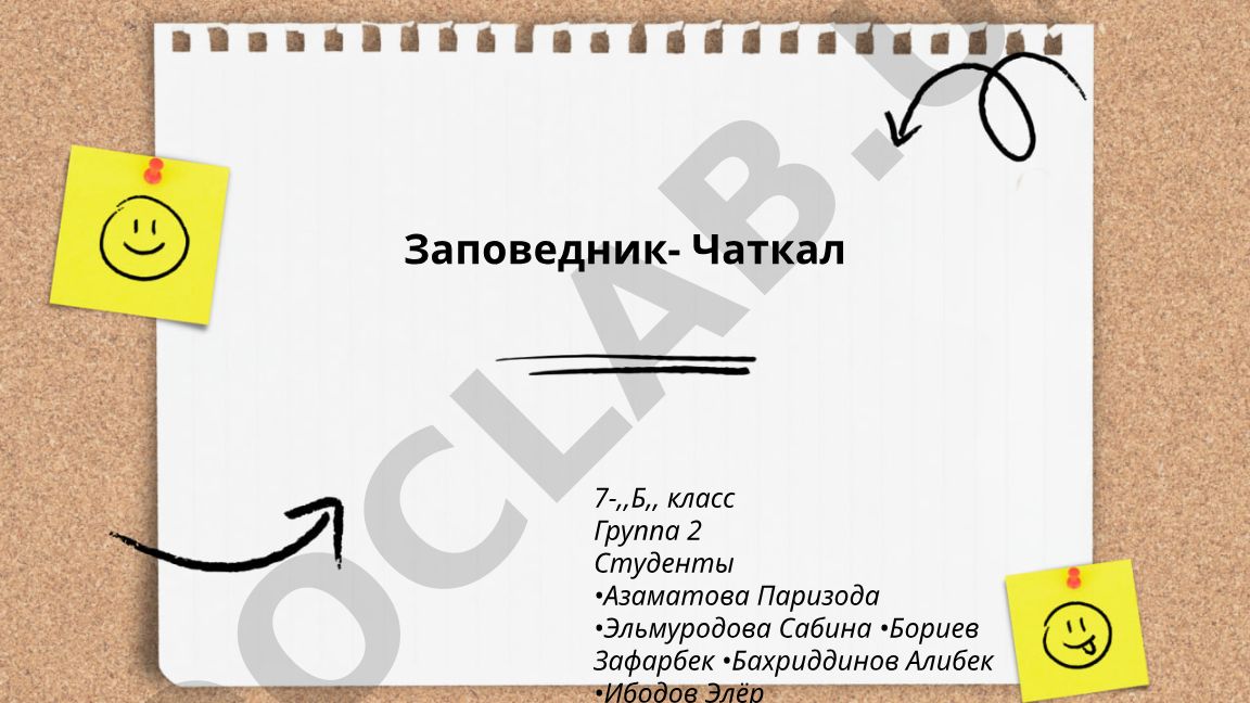 Заповедник Чаткал: история создания, география и геоморфология