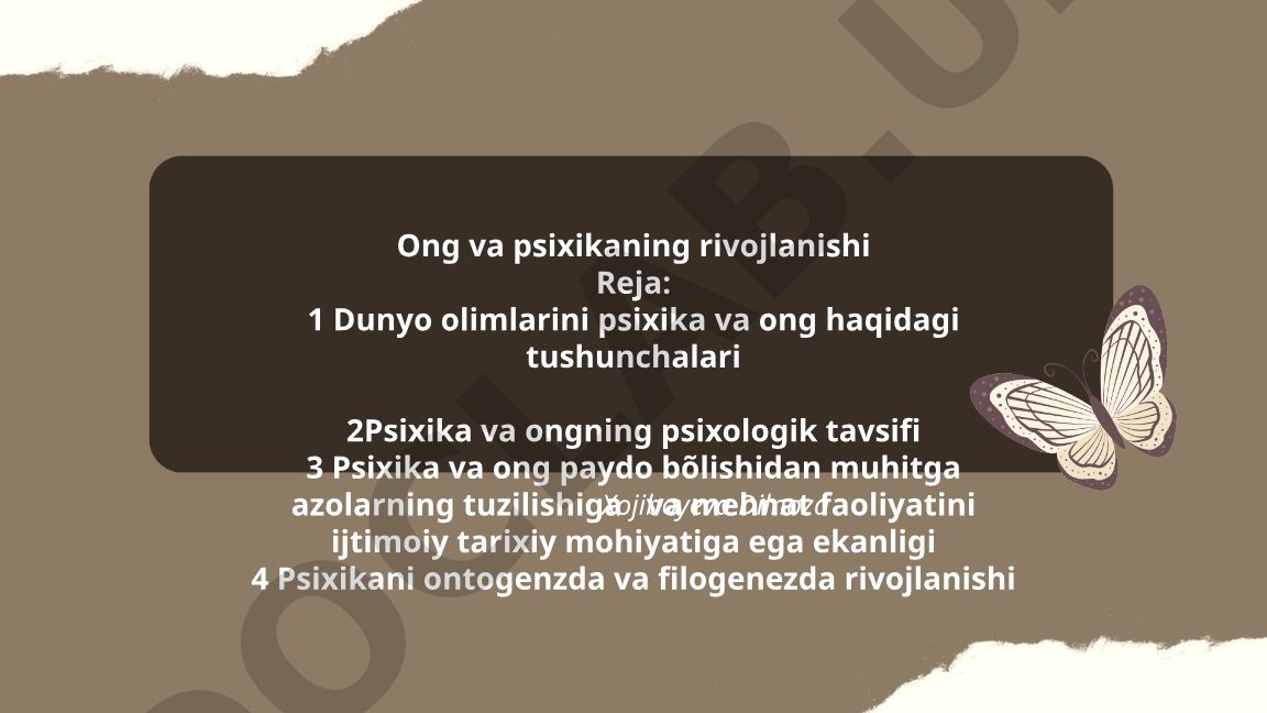 Ong va psixikaning rivojlanishi