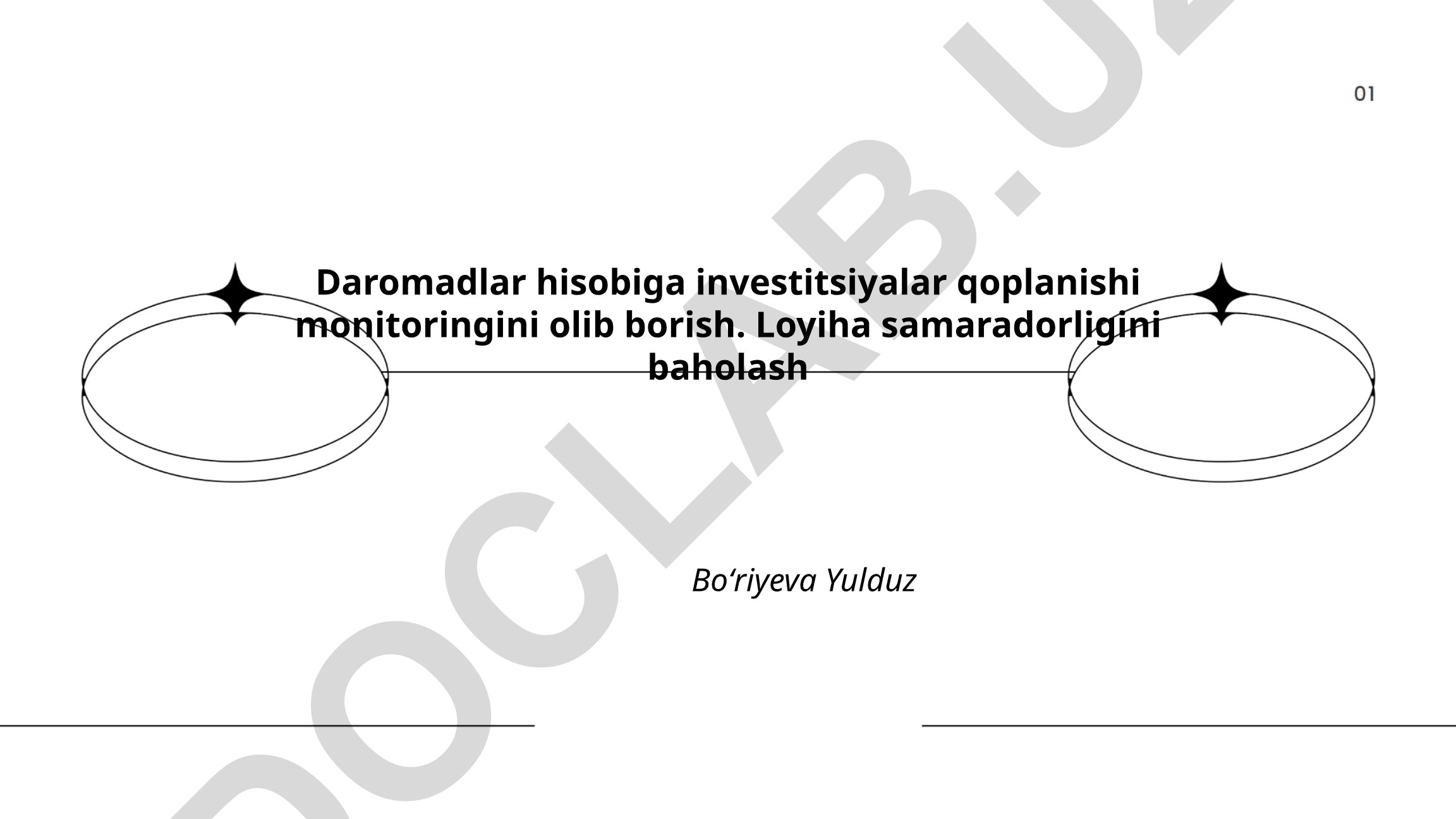 Daromadlar hisobiga investitsiyalar qoplanishi monitoringi va loyiha samaradorligini baholash