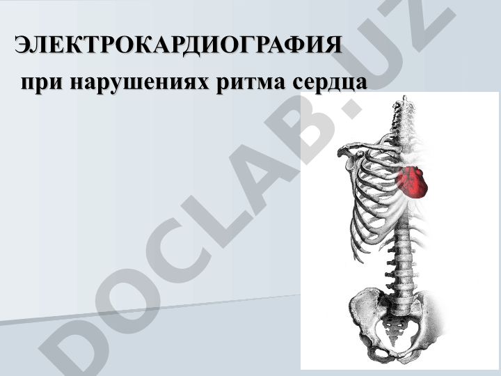 Электрокардиография при нарушениях ритма сердца и лекарственные препараты