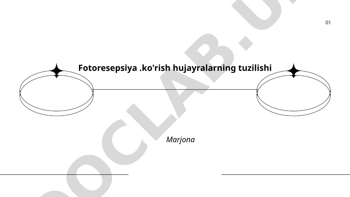Fotoresepsiya va ko'rish hujayralarining tuzilishi