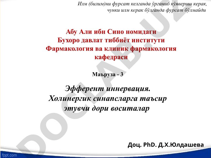 Эфферент иннервация и холинергические синапсы: классификация, механизмы действия и применение лекарственных средств