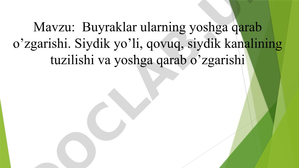 Buyraklar va siydik yo'li kasalliklari