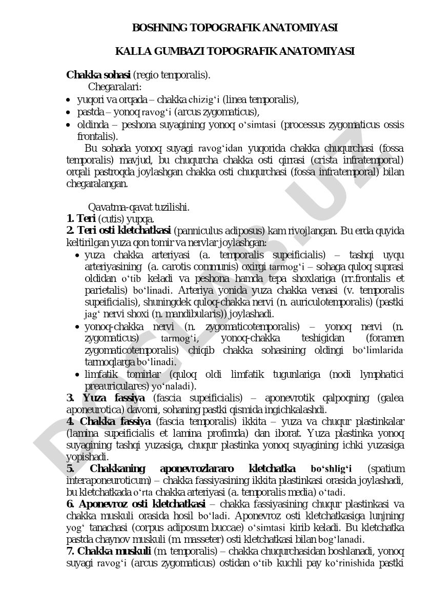 Boshning topografik anatomiyasi: kalla gumbazi va chakka sohasi