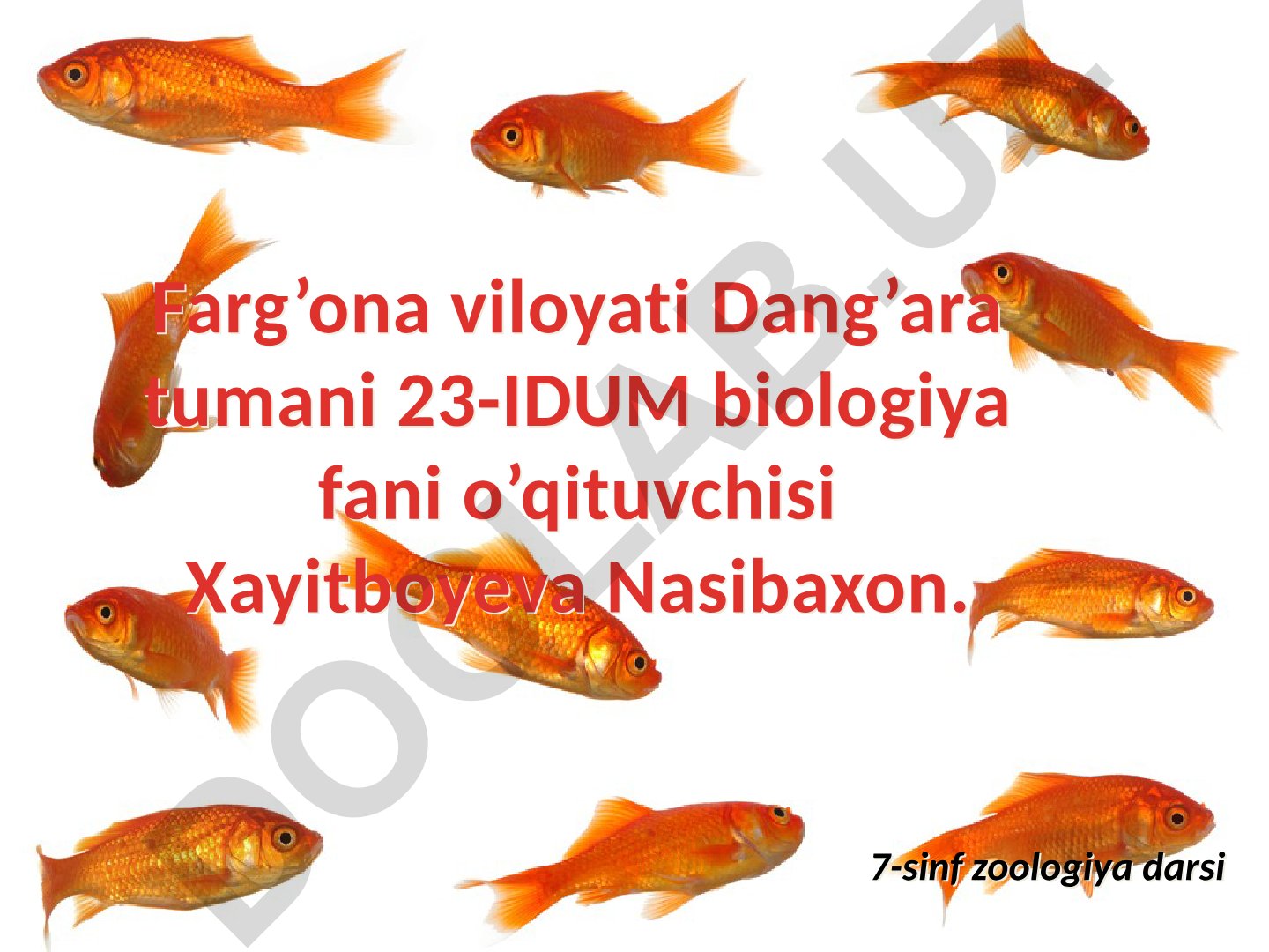 Baliqlarning tashqi tuzilishi