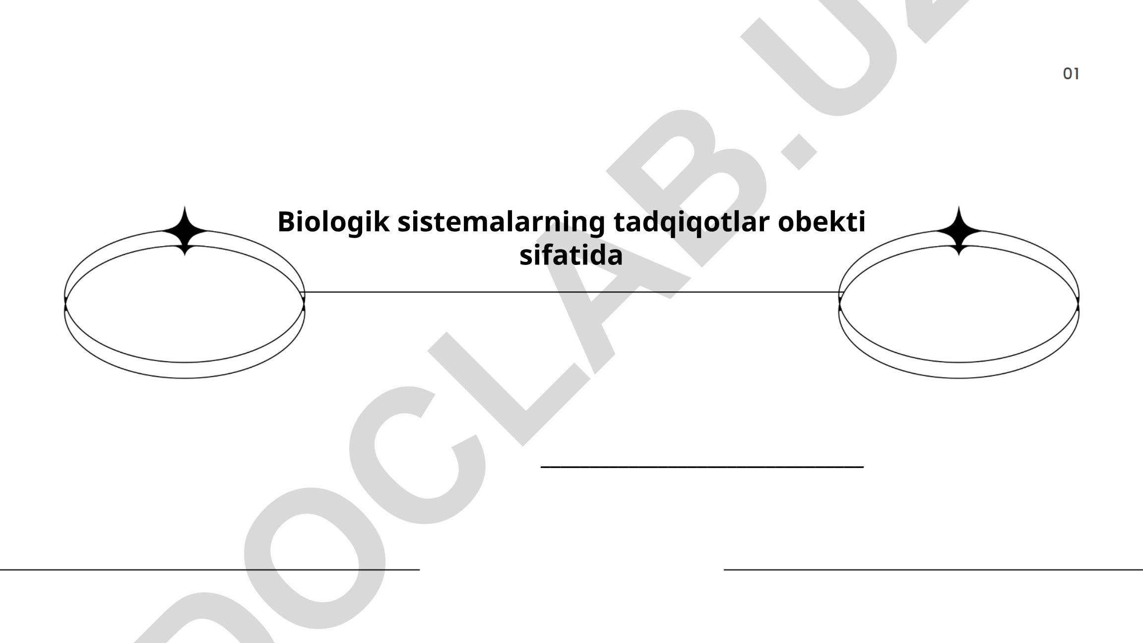 Biologik tizimlarning strukturasi va funksional xususiyatlari