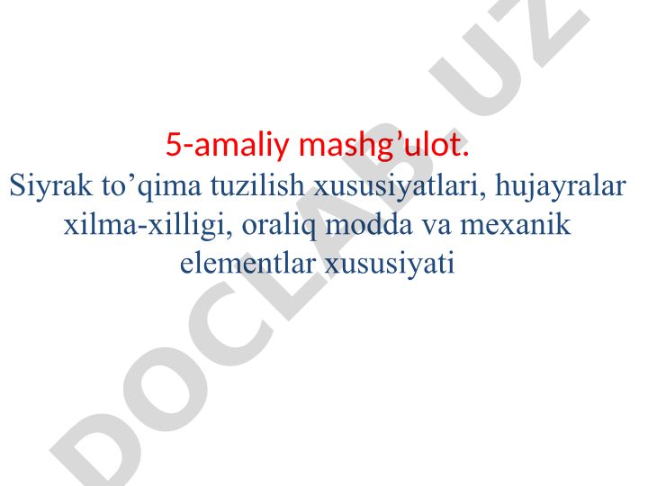 Siyrak to'qima tuzilish xususiyatlari va hujayralar xilma-xilligi