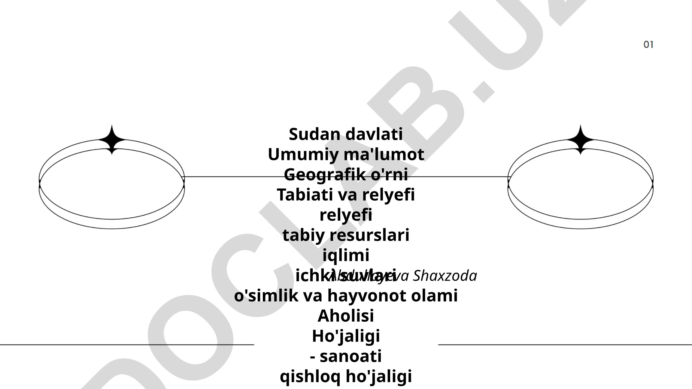 Sudan davlati: geografik o'rni, tabiati, aholisi va iqtisodiyoti