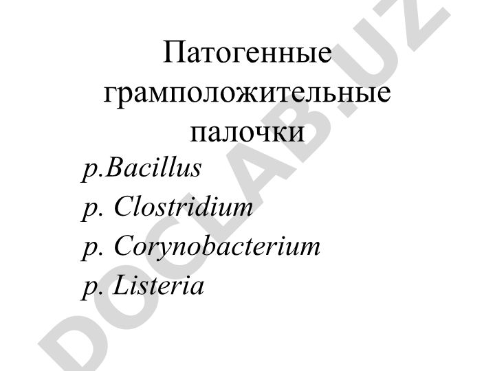 Сибирская язва: возбудитель, характеристика и историческая справка