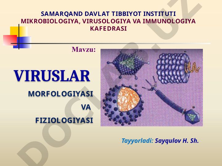 Viruslar zararlashi mumkin bo‘lgan a’zo va to‘qimalar